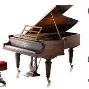 一只贝多芬的耳朵 头像