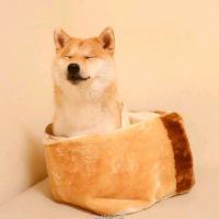 我来举个栗子 头像