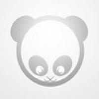 我叫大能猫 头像