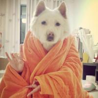 瑾川他娘瑾宁她妈 头像