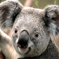 minggang wang 头像