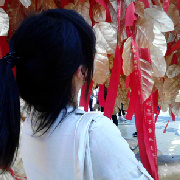 菜菜xi_i南开 头像