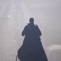 小姚律师努力中 头像