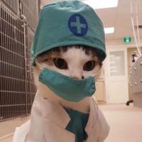 温柔的丶叹息 头像