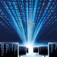 夜袭寡妇村村村村村村村 头像