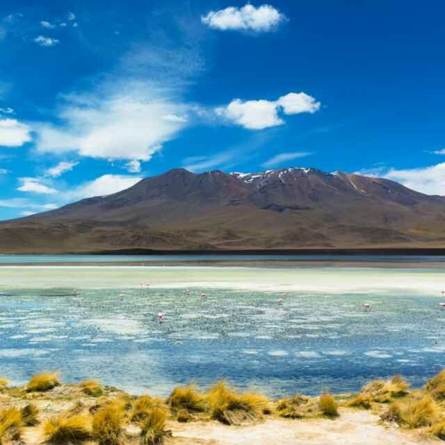 危情时刻Lv5 头像