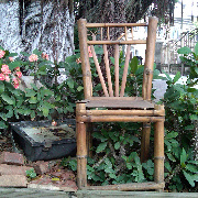 老布在跑步 头像