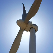 大梅沙的梅沙 头像