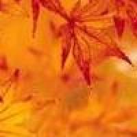 潇潇雨0574 头像