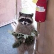 我爱步尚ban 头像