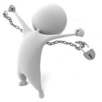 叫哈七的小燕子 头像