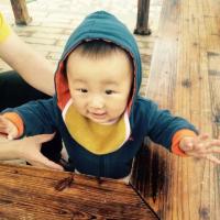 自由的飞肉 头像