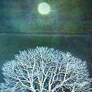 凡鸟偏从末世来 头像