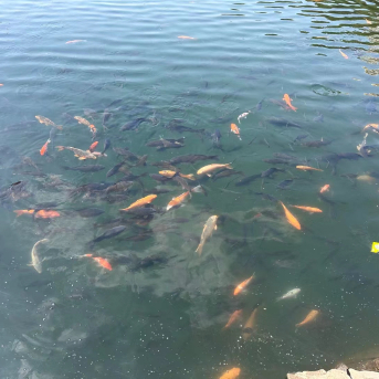 行者无疆12345 头像