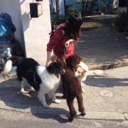 留雨不天晴 头像