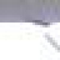 无情浪子501 头像