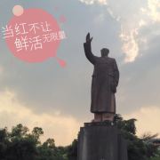学习学个P 头像