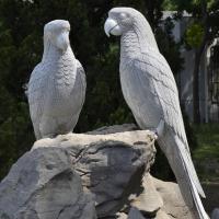 80后的呐喊 头像