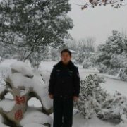 树叶的春夏秋冬 头像