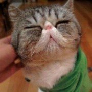 难忘憶秋年 头像