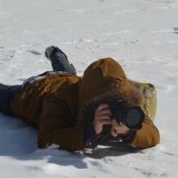 Harrison Chen 头像