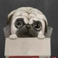 祥祥张大状 头像