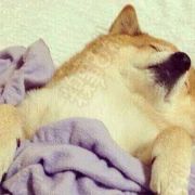 洋葱汤先森 头像