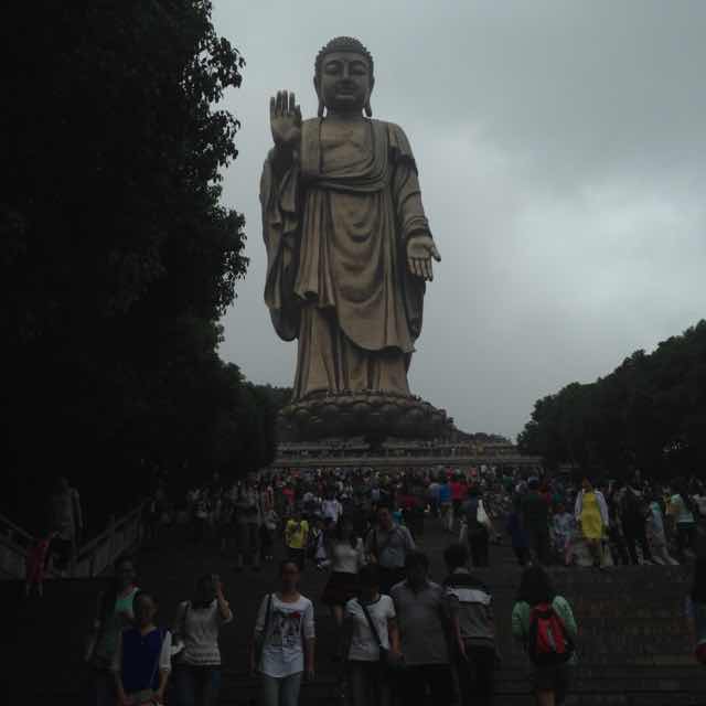 竹林里的蟋蟀 头像