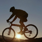 改名刀刀狗 头像