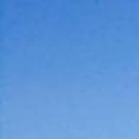 毛毛虫fighting 头像