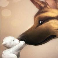 知世故不世故 头像