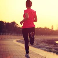 cplasf_小象 头像