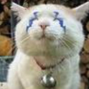 杂音过滤器 头像