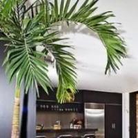 Raymond Dobson 头像