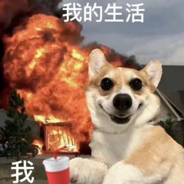 请叫我王磊同学 头像