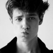 东游西荡的猫 头像