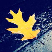 神秘人Jerey 头像