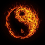 霜晨月_ScY 头像