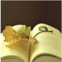 隔壁家的狗剩 头像