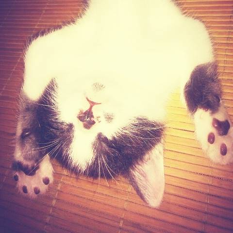 July__冰壶浪子 头像