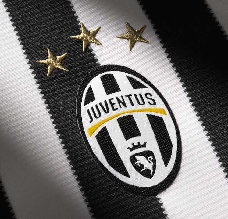 进击的德川家康 头像