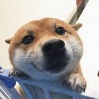 淹死的鱼。oO 头像