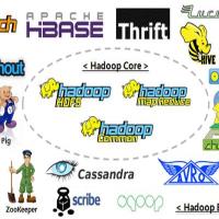 恒宇伟业软件部 张浩 头像