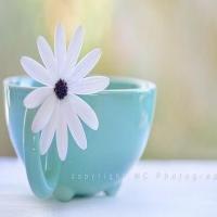 夏小沫图组 头像