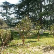 哈哈哈哈哈sxm 头像