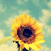 清明如水的微博 头像