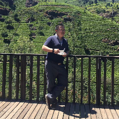 wilson-威少 头像