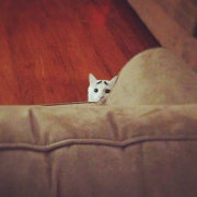 半夜被子掉地上 头像