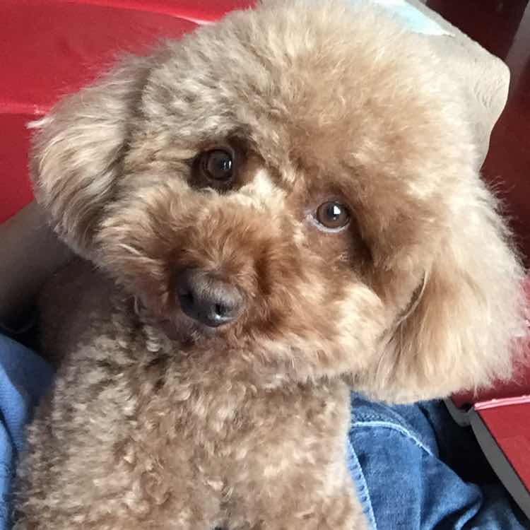 正常的名字 头像