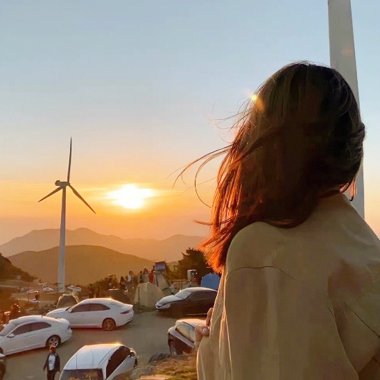 等风来 6331 头像